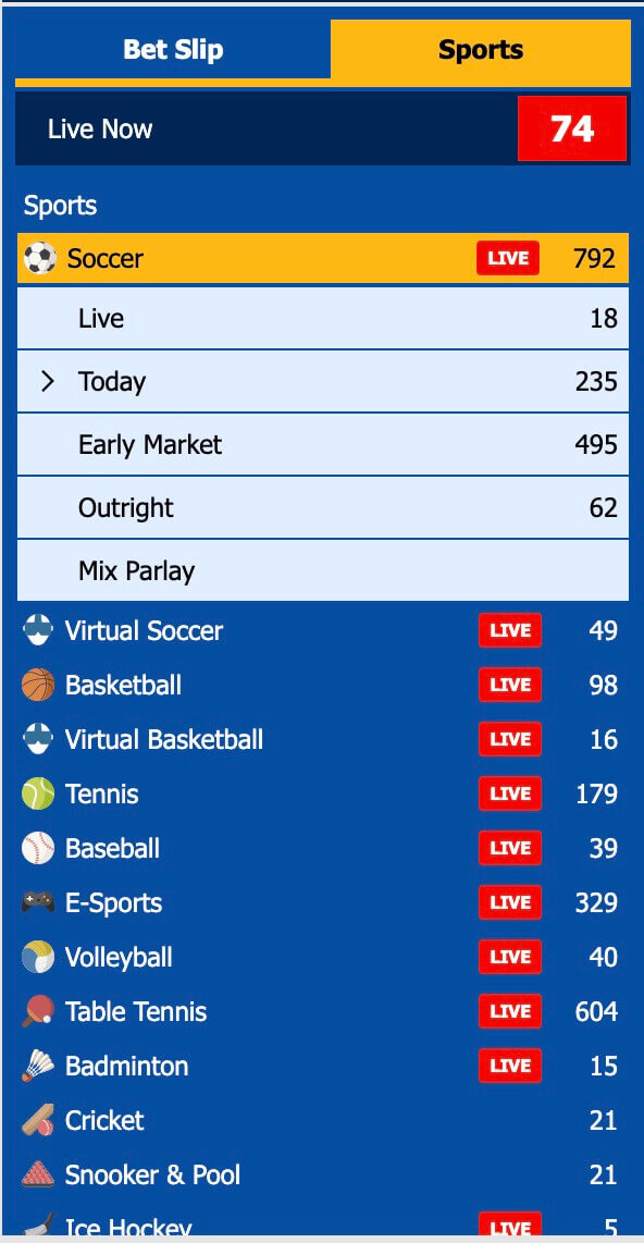 How to Play Sports Betting at BK8